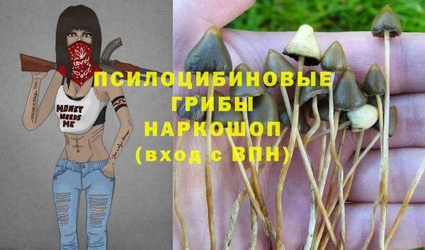 круглые Арсеньев